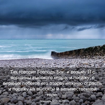 Picture 03 - Иезекииль 17:22 RUSV - Так говорит Господь Бог: и - Bible Verse Picture