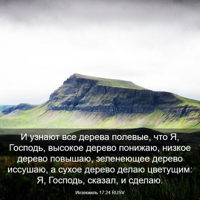 Picture 03 - Иезекииль 17:24 RUSV - И узнают все дерева - Bible Verse Picture