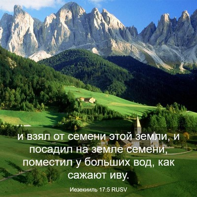 Picture 03 - Иезекииль 17:5 RUSV - и взял от семени этой - Bible Verse Picture