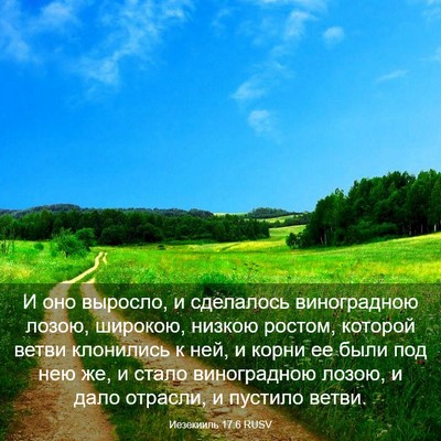 Picture 03 - Иезекииль 17:6 RUSV - И оно выросло, и сделалось - Bible Verse Picture