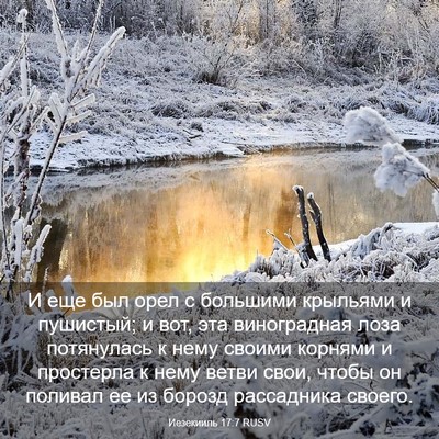 Picture 03 - Иезекииль 17:7 RUSV - И еще был орел с большими - Bible Verse Picture