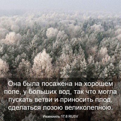 Picture 03 - Иезекииль 17:8 RUSV - Она была посажена на - Bible Verse Picture