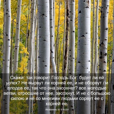 Picture 03 - Иезекииль 17:9 RUSV - Скажи: так говорит Господь - Bible Verse Picture