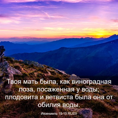 Picture 03 - Иезекииль 19:10 RUSV - Твоя мать была, как - Bible Verse Picture