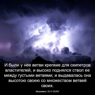 Picture 03 - Иезекииль 19:11 RUSV - И были у нее ветви крепкие - Bible Verse Picture