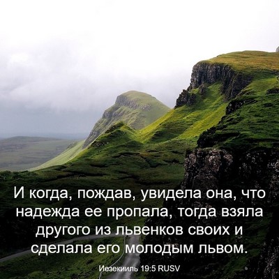 Picture 03 - Иезекииль 19:5 RUSV - И когда, пождав, увидела - Bible Verse Picture