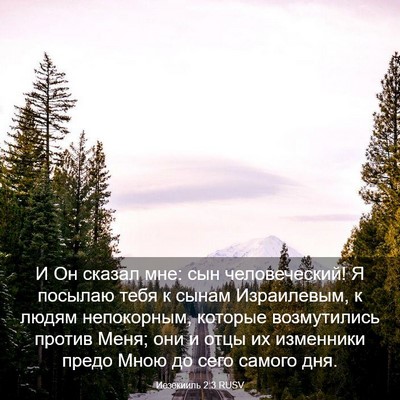 Picture 03 - Иезекииль 2:3 RUSV - И Он сказал мне: сын - Bible Verse Picture