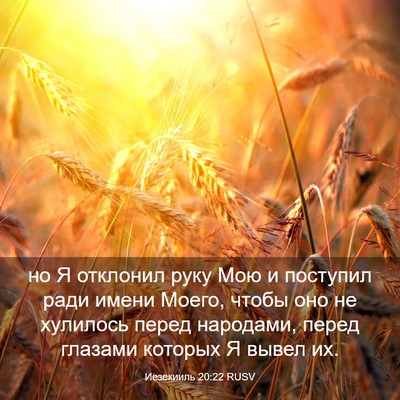 Picture 03 - Иезекииль 20:22 RUSV - но Я отклонил руку Мою и - Bible Verse Picture