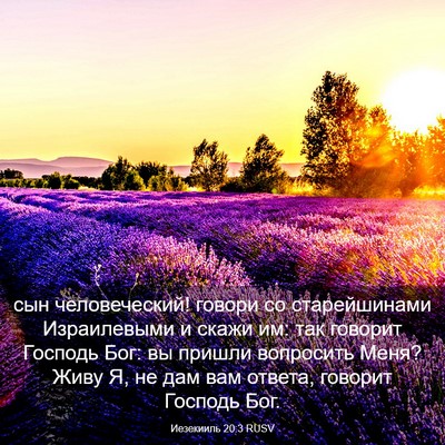 Picture 03 - Иезекииль 20:3 RUSV - сын человеческий! говори - Bible Verse Picture