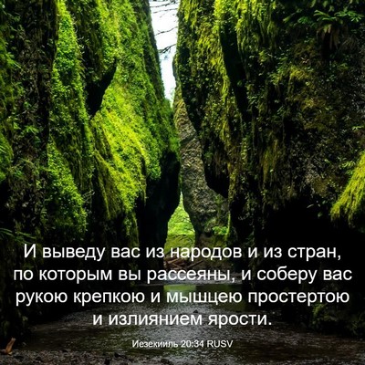 Picture 03 - Иезекииль 20:34 RUSV - И выведу вас из народов и - Bible Verse Picture