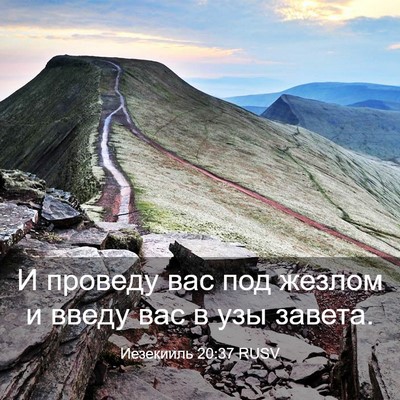 Picture 03 - Иезекииль 20:37 RUSV - И проведу вас под жезлом и - Bible Verse Picture