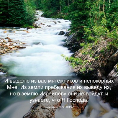 Picture 03 - Иезекииль 20:38 RUSV - И выделю из вас мятежников - Bible Verse Picture