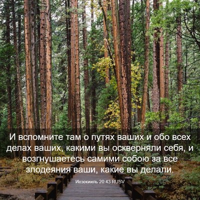Picture 03 - Иезекииль 20:43 RUSV - И вспомните там о путях - Bible Verse Picture