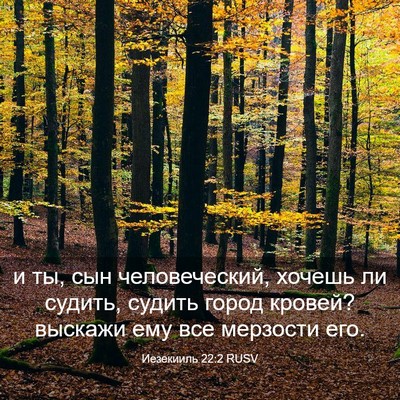 Picture 03 - Иезекииль 22:2 RUSV - и ты, сын человеческий, - Bible Verse Picture