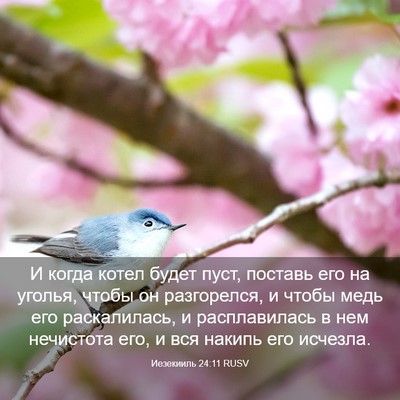 Picture 03 - Иезекииль 24:11 RUSV - И когда котел будет пуст, - Bible Verse Picture