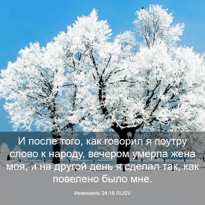 Picture 03 - Иезекииль 24:18 RUSV - И после того, как говорил я - Bible Verse Picture