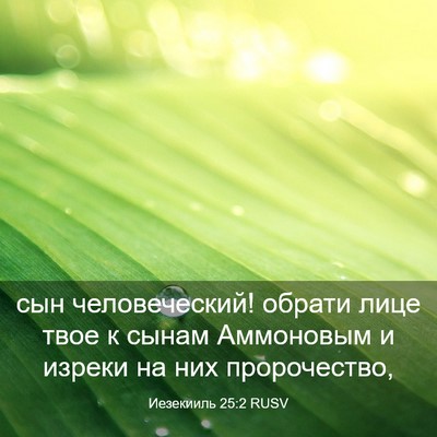 Picture 03 - Иезекииль 25:2 RUSV - сын человеческий! обрати - Bible Verse Picture