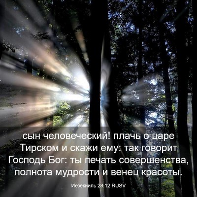Picture 03 - Иезекииль 28:12 RUSV - сын человеческий! плачь о - Bible Verse Picture