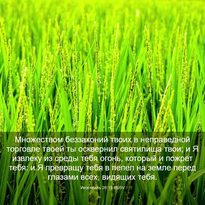 Picture 03 - Иезекииль 28:18 RUSV - Множеством беззаконий - Bible Verse Picture