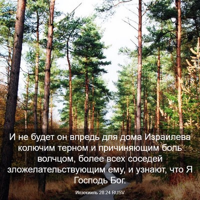 Picture 03 - Иезекииль 28:24 RUSV - И не будет он впредь для - Bible Verse Picture