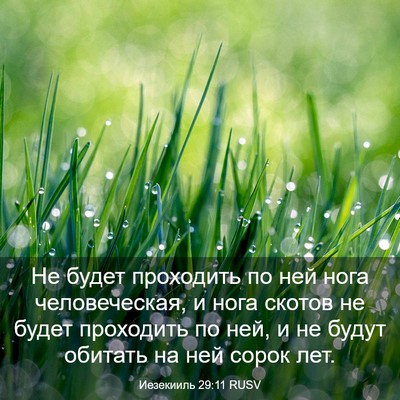 Picture 03 - Иезекииль 29:11 RUSV - Не будет проходить по ней - Bible Verse Picture