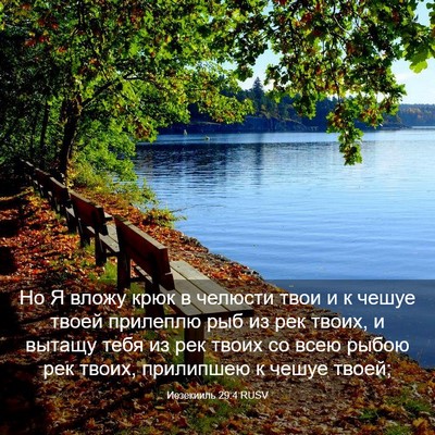 Picture 03 - Иезекииль 29:4 RUSV - Но Я вложу крюк в челюсти - Bible Verse Picture