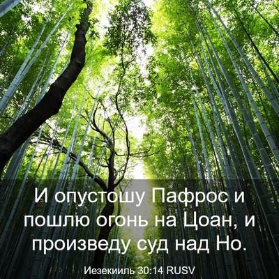 Picture 03 - Иезекииль 30:14 RUSV - И опустошу Пафрос и пошлю - Bible Verse Picture