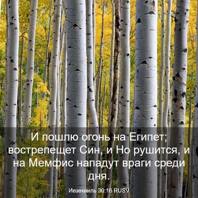 Picture 03 - Иезекииль 30:16 RUSV - И пошлю огонь на Египет; - Bible Verse Picture