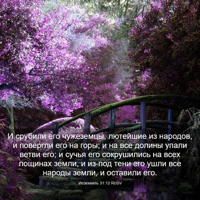 Picture 03 - Иезекииль 31:12 RUSV - И срубили его чужеземцы, - Bible Verse Picture
