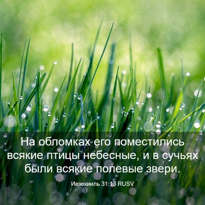 Picture 03 - Иезекииль 31:13 RUSV - На обломках его - Bible Verse Picture
