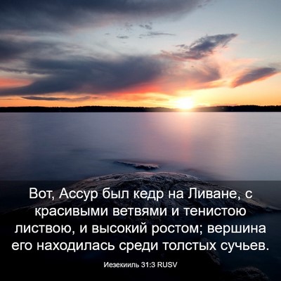 Picture 03 - Иезекииль 31:3 RUSV - Вот, Ассур был кедр на - Bible Verse Picture