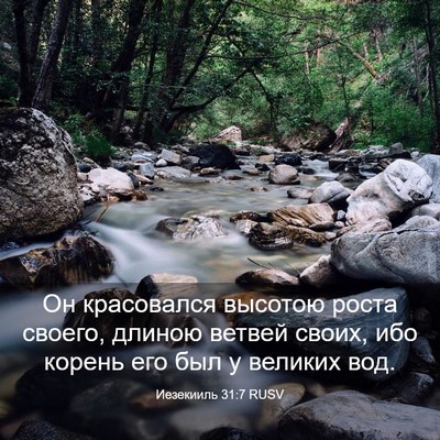 Picture 03 - Иезекииль 31:7 RUSV - Он красовался высотою - Bible Verse Picture