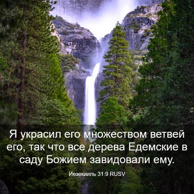 Picture 03 - Иезекииль 31:9 RUSV - Я украсил его множеством - Bible Verse Picture