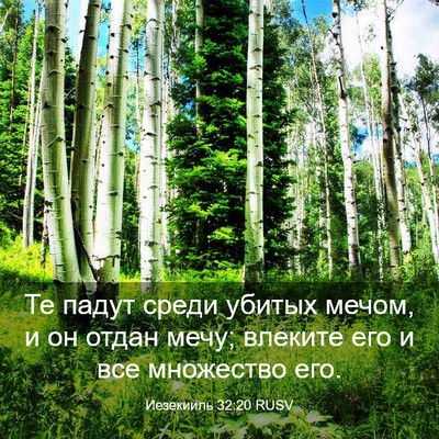 Picture 03 - Иезекииль 32:20 RUSV - Те падут среди убитых - Bible Verse Picture