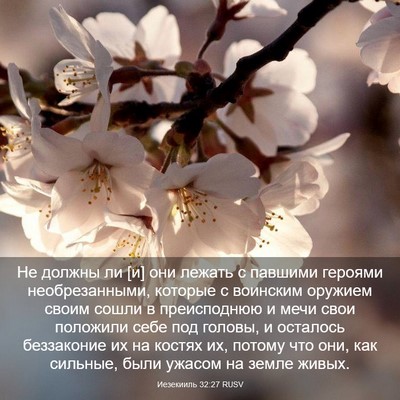Picture 03 - Иезекииль 32:27 RUSV - Не должны ли [и] они лежать - Bible Verse Picture