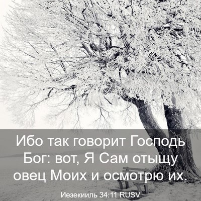 Picture 03 - Иезекииль 34:11 RUSV - Ибо так говорит Господь - Bible Verse Picture