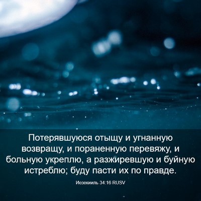 Picture 03 - Иезекииль 34:16 RUSV - Потерявшуюся отыщу и - Bible Verse Picture