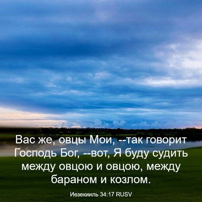 Picture 03 - Иезекииль 34:17 RUSV - Вас же, овцы Мои, --так - Bible Verse Picture
