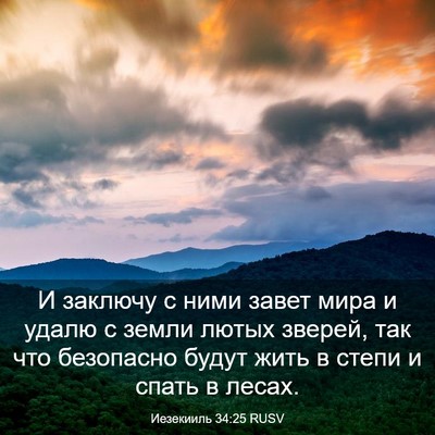 Picture 03 - Иезекииль 34:25 RUSV - И заключу с ними завет мира - Bible Verse Picture