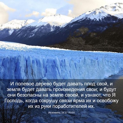 Picture 03 - Иезекииль 34:27 RUSV - И полевое дерево будет - Bible Verse Picture