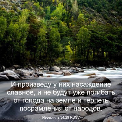 Picture 03 - Иезекииль 34:29 RUSV - И произведу у них - Bible Verse Picture