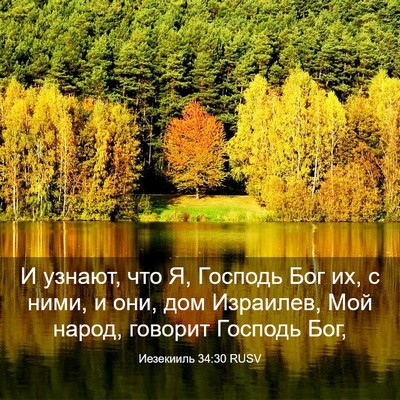 Picture 03 - Иезекииль 34:30 RUSV - И узнают, что Я, Господь Бог - Bible Verse Picture