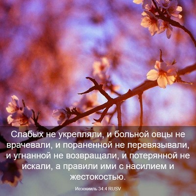 Picture 03 - Иезекииль 34:4 RUSV - Слабых не укрепляли, и - Bible Verse Picture