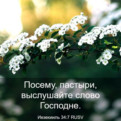 Picture 03 - Иезекииль 34:7 RUSV - Посему, пастыри, - Bible Verse Picture