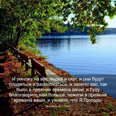 Picture 03 - Иезекииль 36:11 RUSV - И умножу на вас людей и - Bible Verse Picture