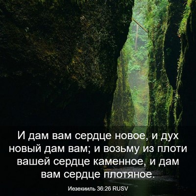 Picture 03 - Иезекииль 36:26 RUSV - И дам вам сердце новое, и - Bible Verse Picture