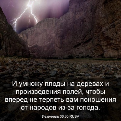 Picture 03 - Иезекииль 36:30 RUSV - И умножу плоды на деревах и - Bible Verse Picture