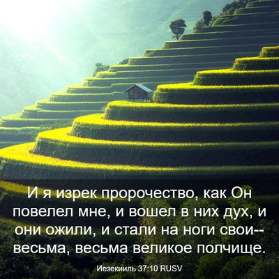 Picture 03 - Иезекииль 37:10 RUSV - И я изрек пророчество, как - Bible Verse Picture