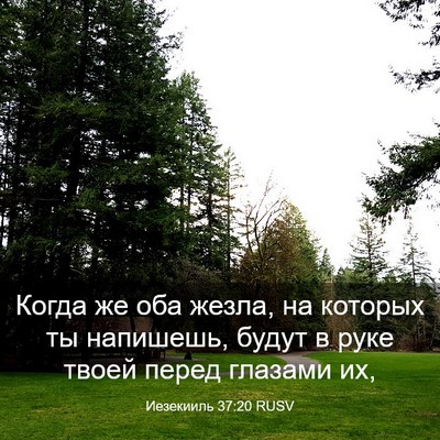 Picture 03 - Иезекииль 37:20 RUSV - Когда же оба жезла, на - Bible Verse Picture
