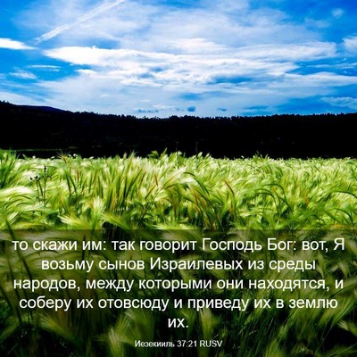 Picture 03 - Иезекииль 37:21 RUSV - то скажи им: так говорит - Bible Verse Picture